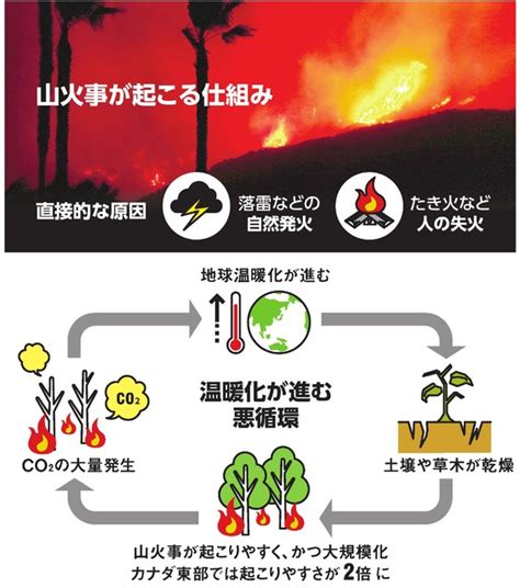 蛇山火事|自然に有益だったはずの山火事は、こうして「地球の。